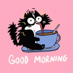 upload_2024-5-15_10-24-21.png