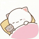 upload_2024-5-30_0-46-49.png