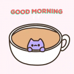 upload_2024-6-6_10-20-26.png