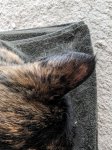 PXL_20240611_214140222.jpg