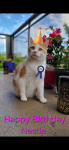 upload_2024-6-18_1-17-44.png