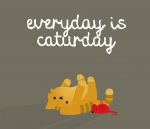 upload_2024-6-22_10-29-35.png