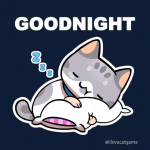 upload_2024-6-24_1-3-6.png