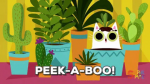 upload_2024-6-29_11-36-51.png