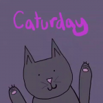 upload_2024-7-7_1-11-4.png