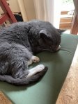 IMG_1172.jpeg