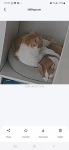 upload_2024-8-21_12-57-13.png