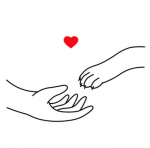 upload_2024-8-28_21-42-13.png