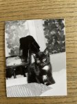 IMG_6459 2.jpeg