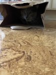 IMG_1727.jpeg