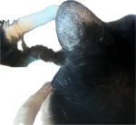 upload_2024-10-29_16-4-44.png