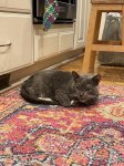 IMG_1832.jpeg