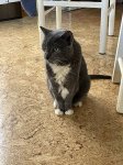 IMG_1989.jpeg