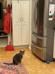 IMG_1990.jpeg