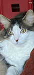 upload_2024-11-27_14-54-31.png