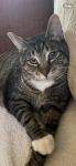 upload_2024-11-27_14-55-2.png