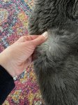 IMG_2057.jpeg
