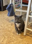 IMG_2060.jpeg