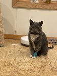 IMG_2173.jpeg