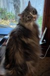 IMG_6782 (1).JPEG