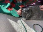 IMG_1123.jpeg