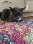IMG_2216.jpeg
