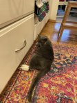 IMG_2220.jpeg