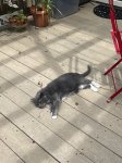 IMG_1182.jpeg