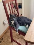 IMG_1197.jpeg