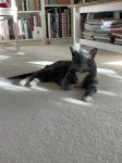 IMG_2194.jpeg