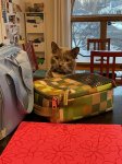 IMG_0033.jpeg