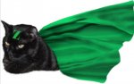 Mighty Z in Greencape.jpg