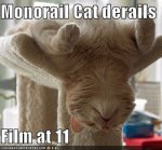 monrail cat.jpg