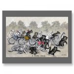 bicycle_riding_cats.jpg