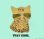 Staycoolwcreds.jpg
