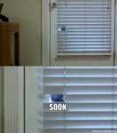 OTJ day 12 small.jpg