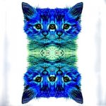 blue green kitty.jpg