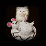 bday1_cat mouse cake small.jpg