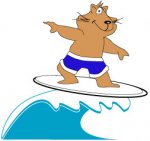 blue cat surfing.jpg