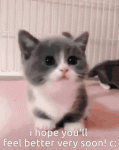 upload_2025-2-4_1-3-18.gif