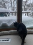 IMG_7539.jpeg