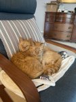 IMG_2396.jpeg