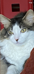 upload_2025-3-16_13-2-48.png