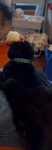 upload_2025-4-19_14-51-12.png