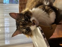 IMG_6735.jpeg