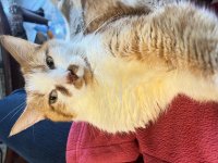 IMG_2588.jpeg
