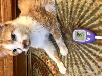 IMG_2610.jpeg
