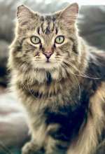IMG_6232.jpeg
