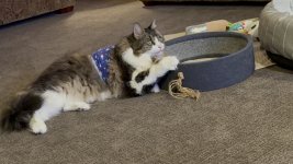 IMG_0136.jpeg