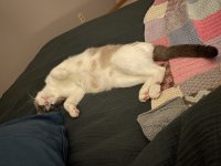IMG_3542.jpeg